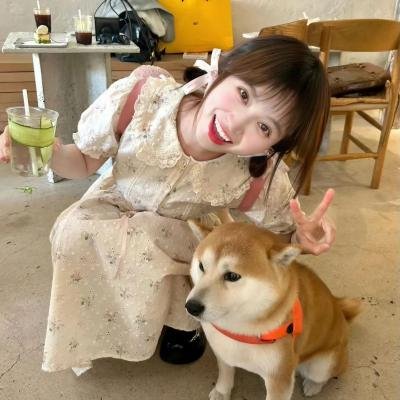 白色酢浆草